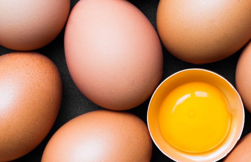 Global Egg Market