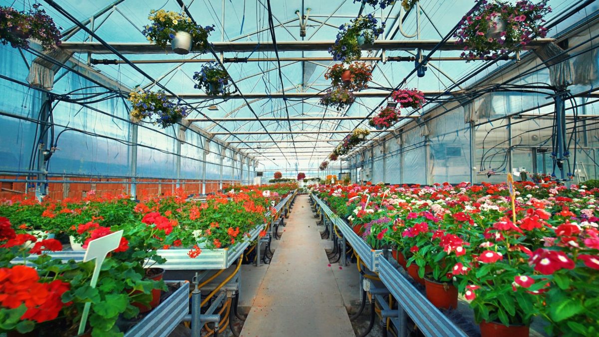 Greenhouse, Nursery, And Flowers Market