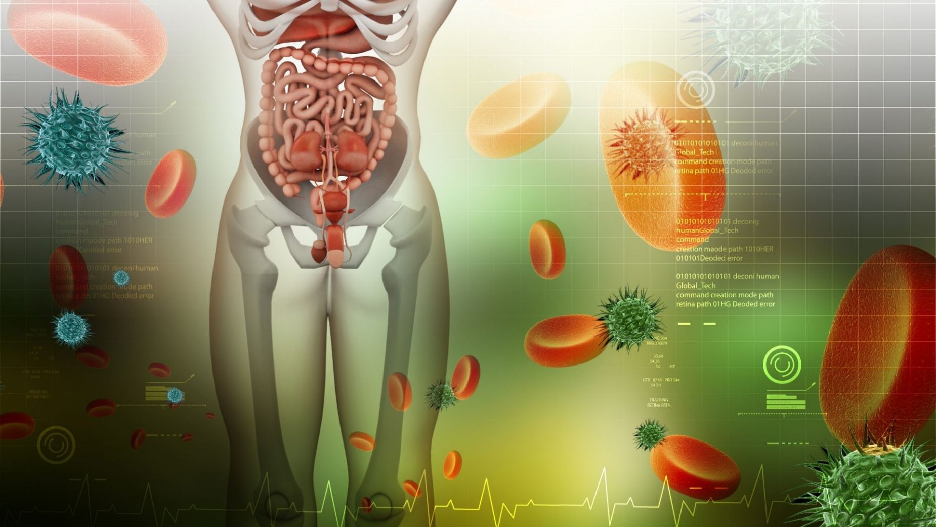 Global Digestive Enzymes Market Overview And Prospects