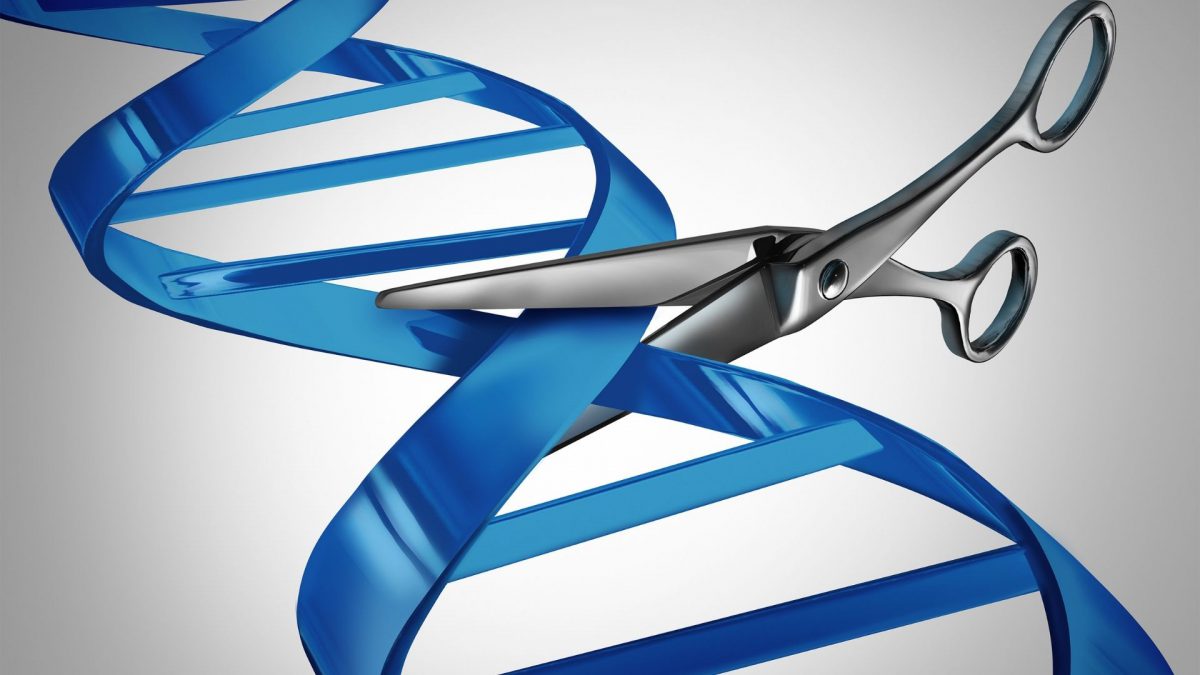 Global Gene Editing Market Overview And Prospects