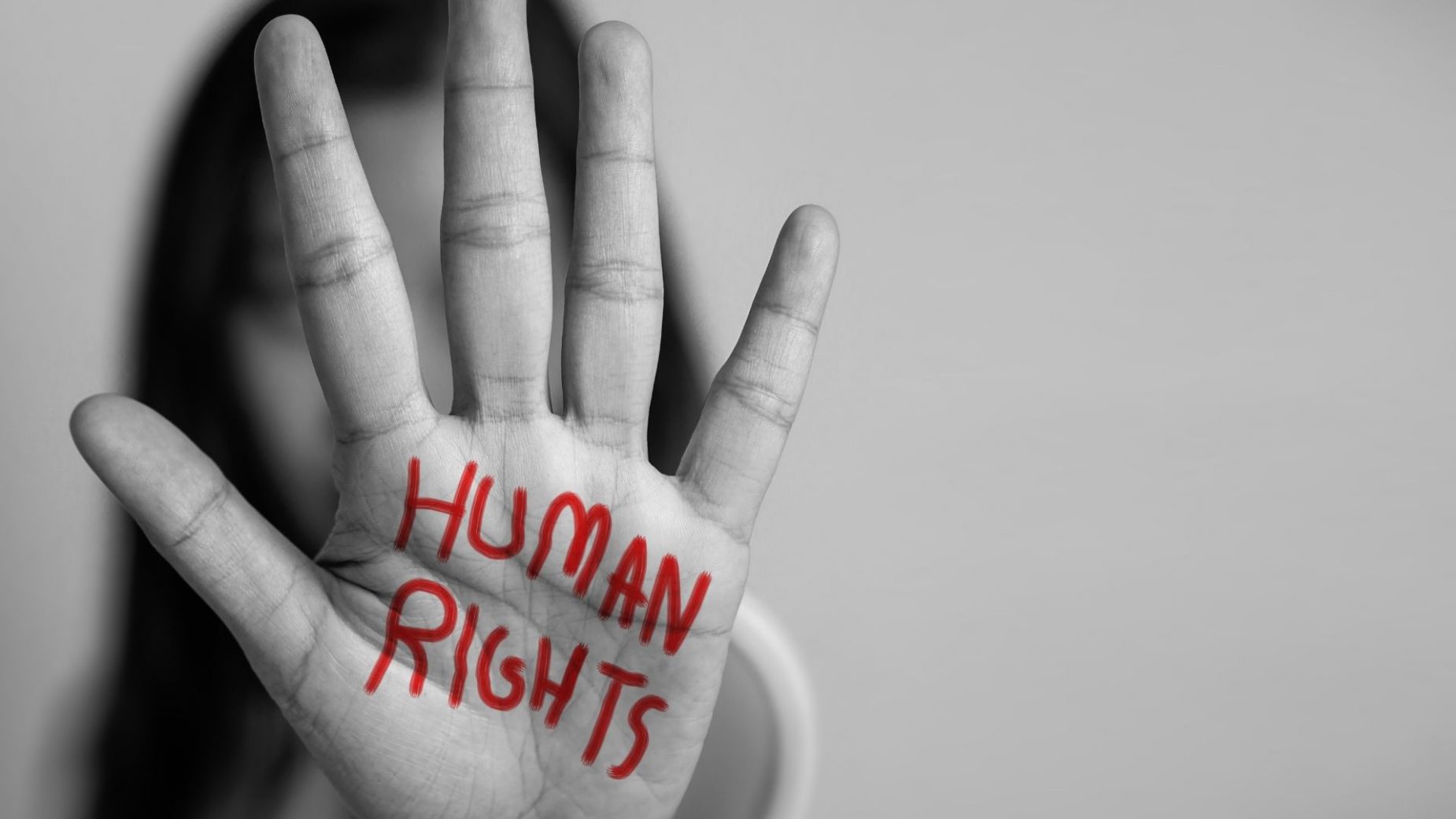 Human Rights Organizations Market