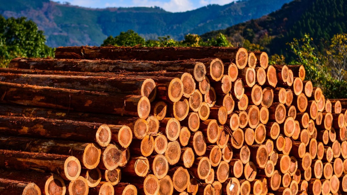wood processing market analysis