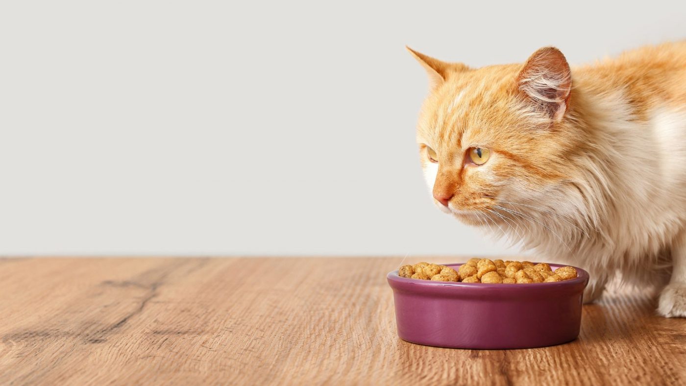 Global Animal And Pet Food Market Outlook, Opportunities And Strategies – includes Pet Food Market Share