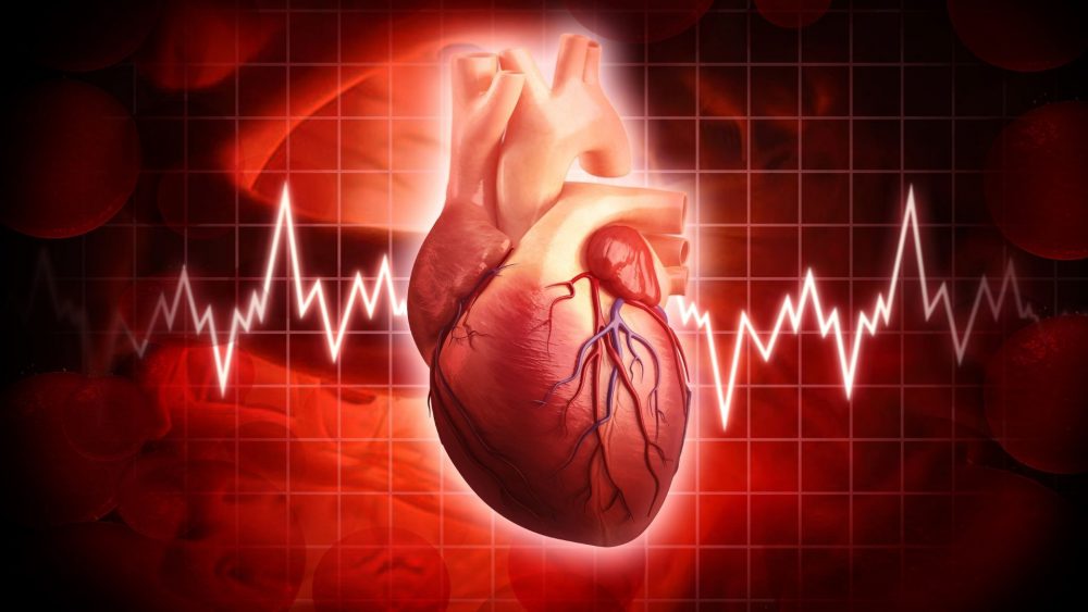 Global Prosthetic Heart Valve Devices And Equipment Market Overview And Prospects