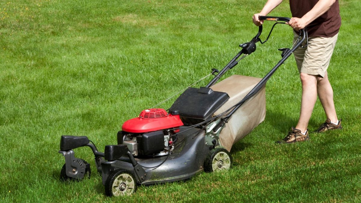 Global Push Lawn Mowers Market Size, Forecasts, And Opportunities