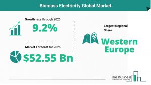 Biomass Electricity Global Market