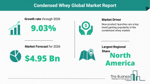 Global Condensed Whey Market Report