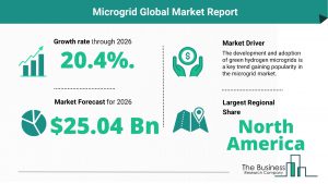 Microgrid Global Market Report