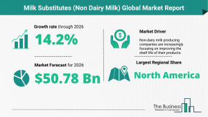 Milk Substitutes (Non Dairy Milk) Market