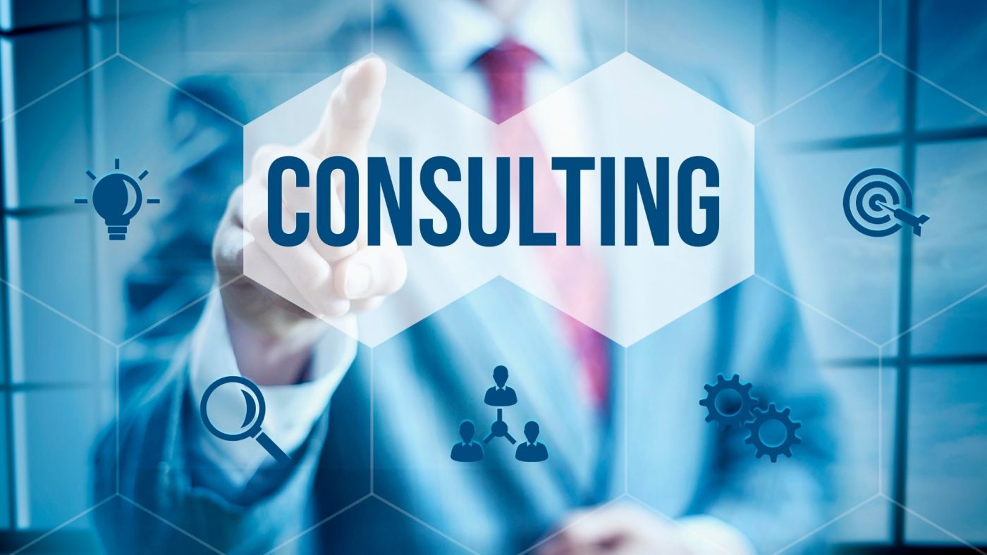 Global Software Consulting Market Size