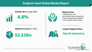 Sorghum Seed Market 