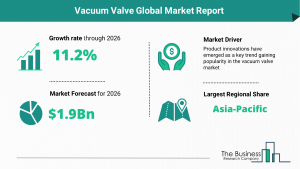 Vacuum Valve Market 