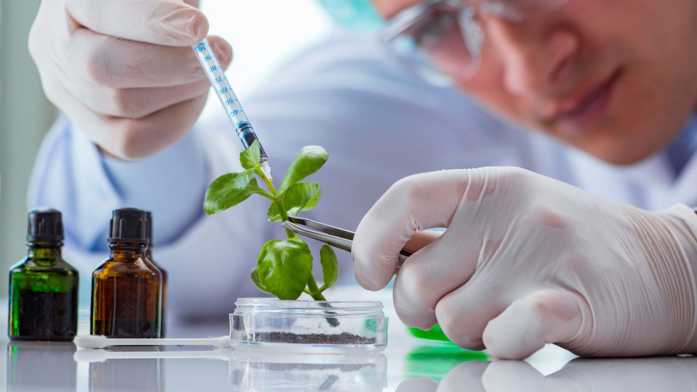Take Up Global Biotechnology Services Market Opportunities With Clear Industry Data – Including Biotechnology Services Market Size And Growth