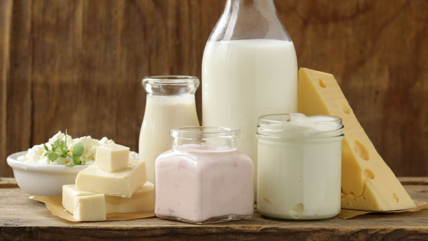 Global Dairy Ingredients Market Size