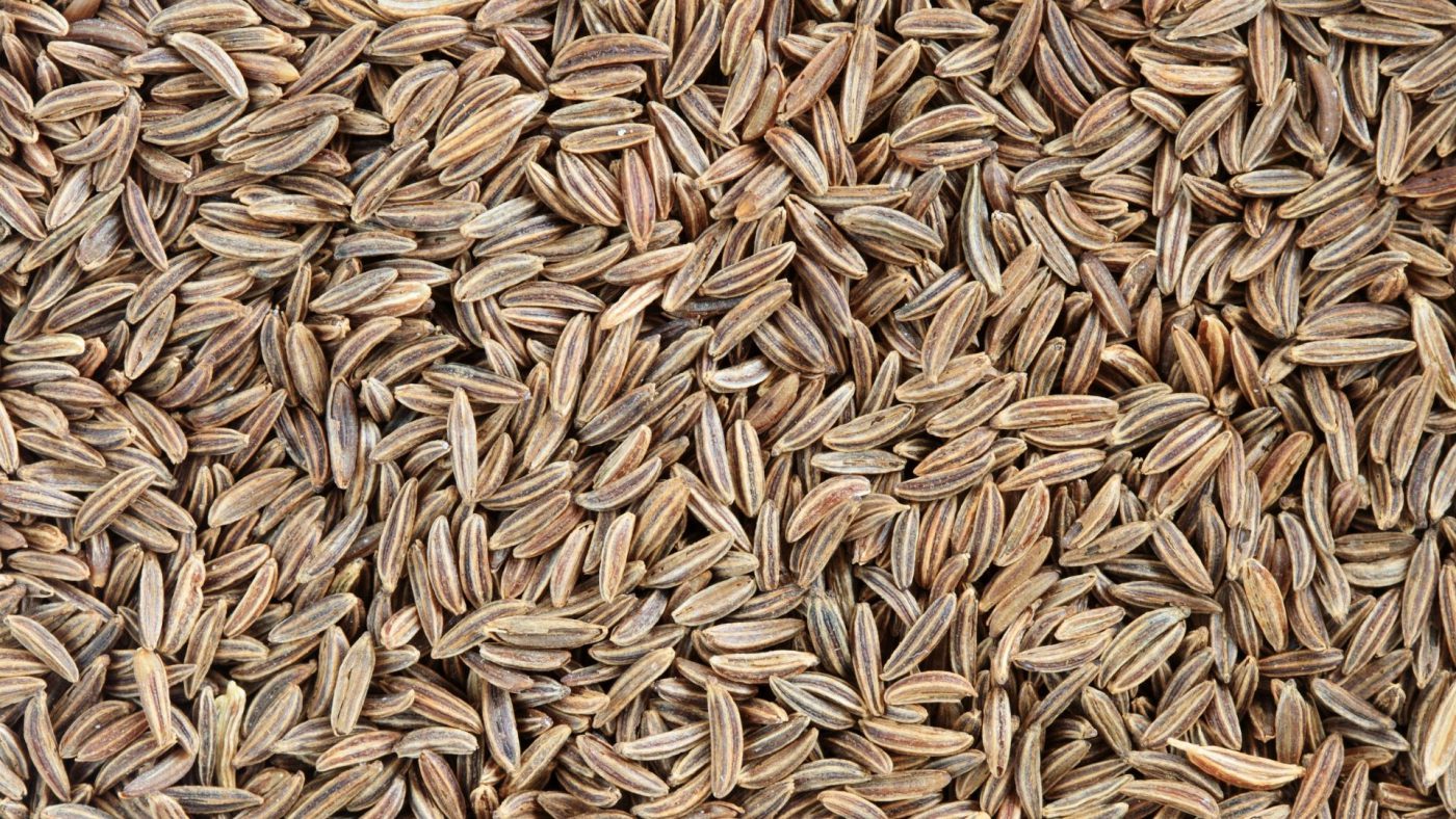 Global Forage Seeds Market Size, Forecasts, And Opportunities – Includes Forage Seeds Market Share