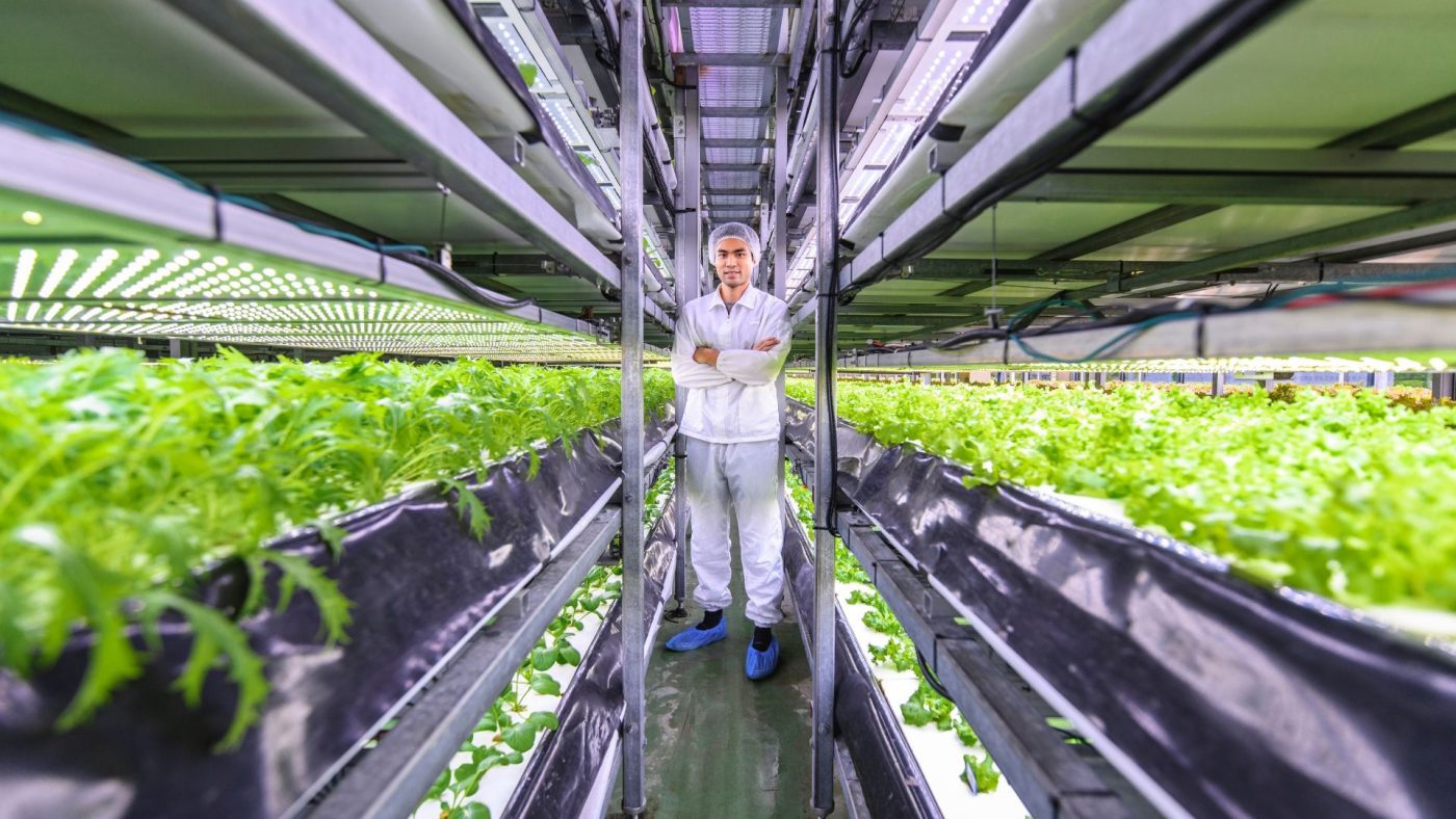 Global Vertical Farming Market Outlook, Opportunities And Strategies – Including Vertical Farming Market Size And Share