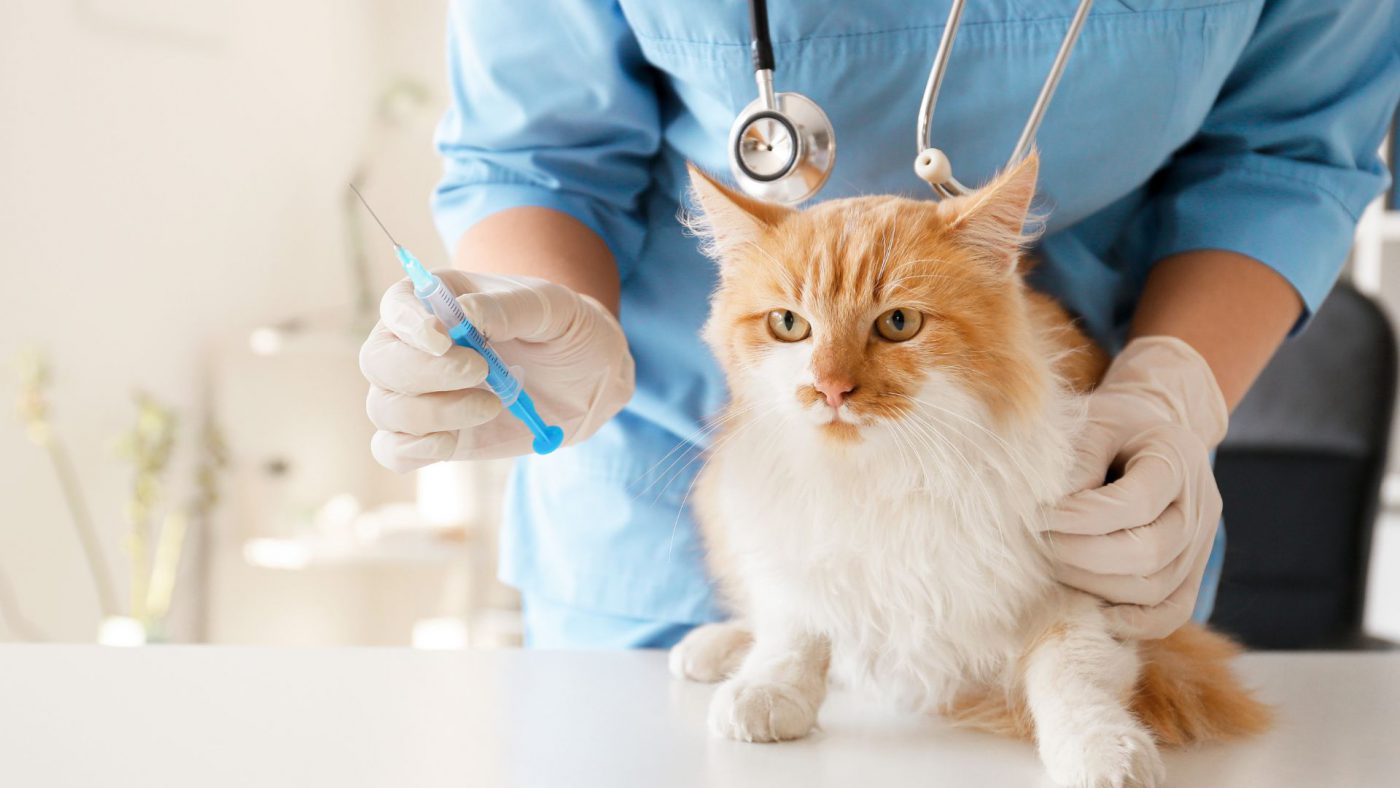 Take Up Global Veterinary Vaccines Market Opportunities with Clear Industry Data – Includes Veterinary Vaccines Market Analysis
