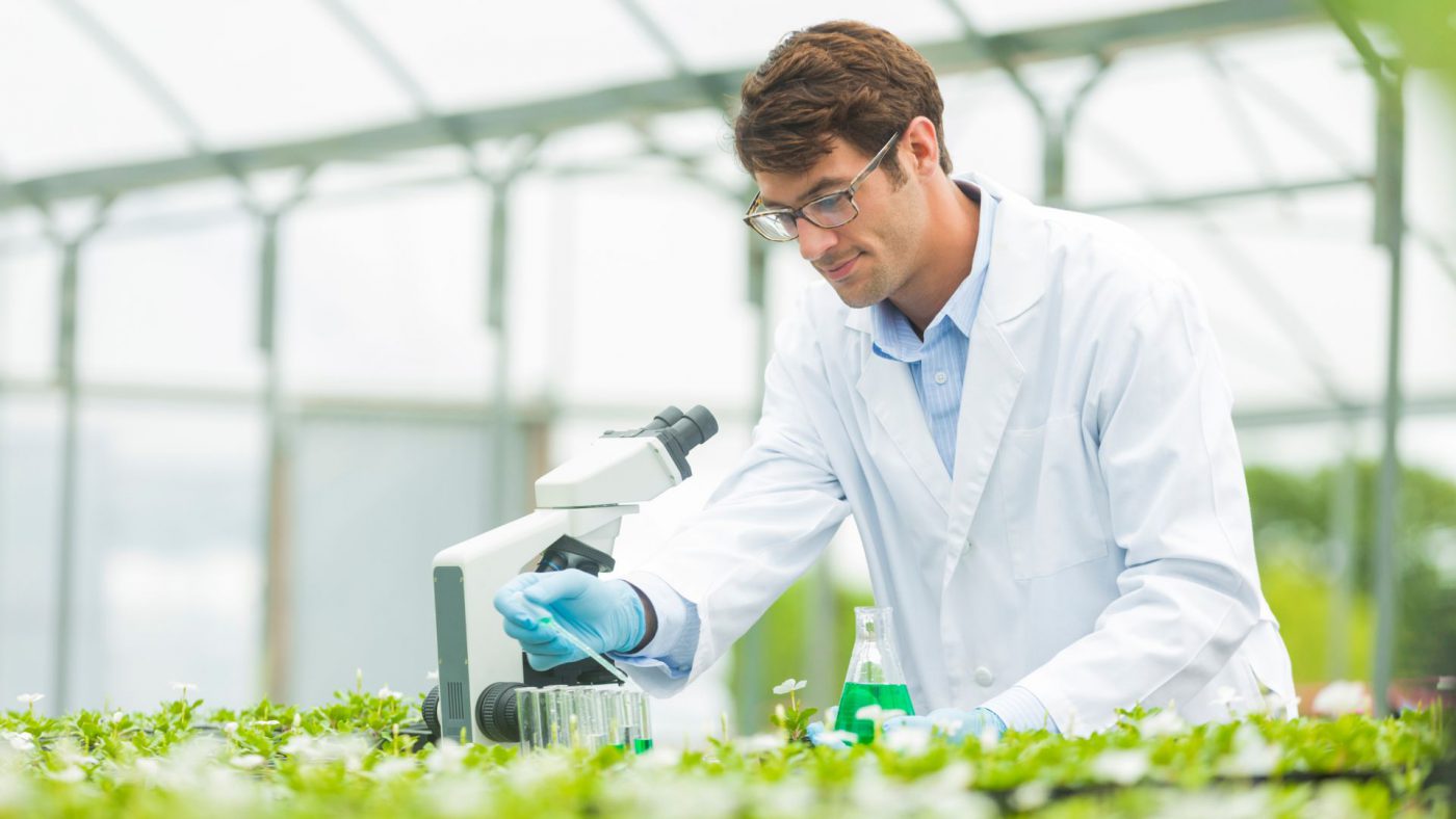 Global Agricultural Biologics Market Outlook, Opportunities And Strategies – Includes Agricultural Biologics Market Report