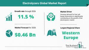 Electrolyzers Global Market