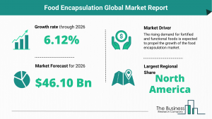 Global Food Encapsulation Market Size