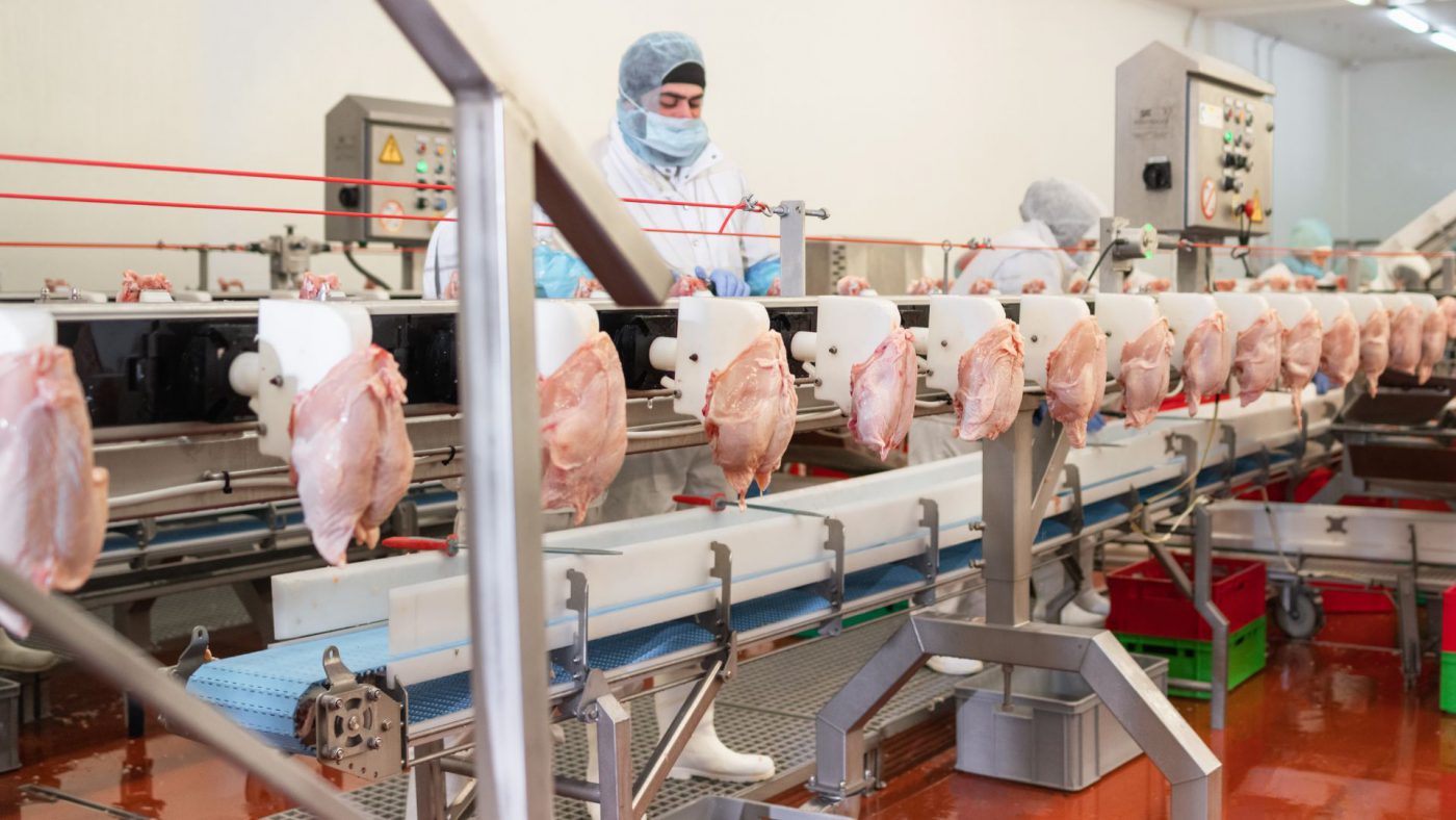 Global Meat Processing Equipment Market Size