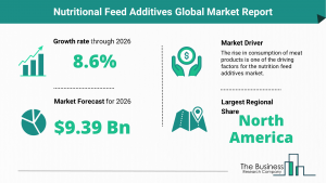 Global Nutritional Feed Additives Market Size