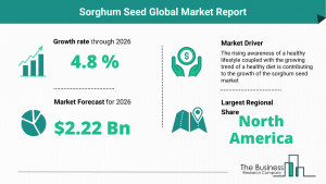 Global Sorghum Seed Market Size