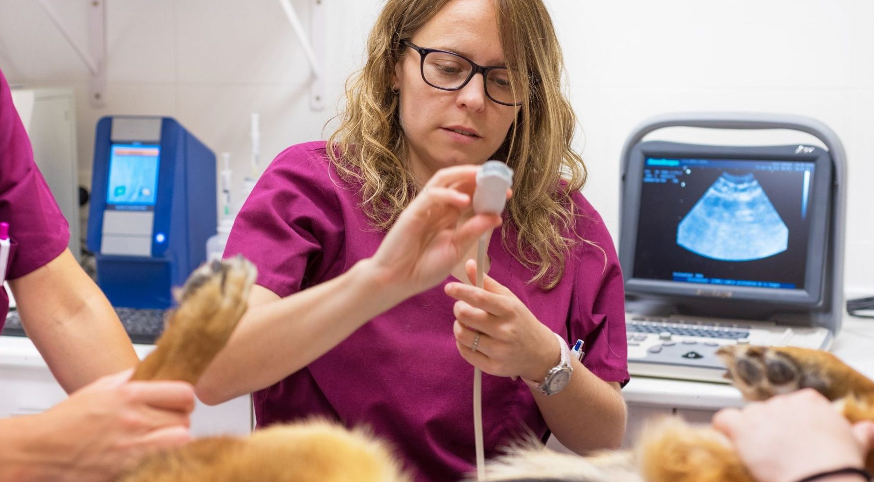 Best Prospects In The Global Veterinary Patient Monitoring Equipment Market And Strategies For Growth – Includes Veterinary Patient Monitoring Equipment Market Growth