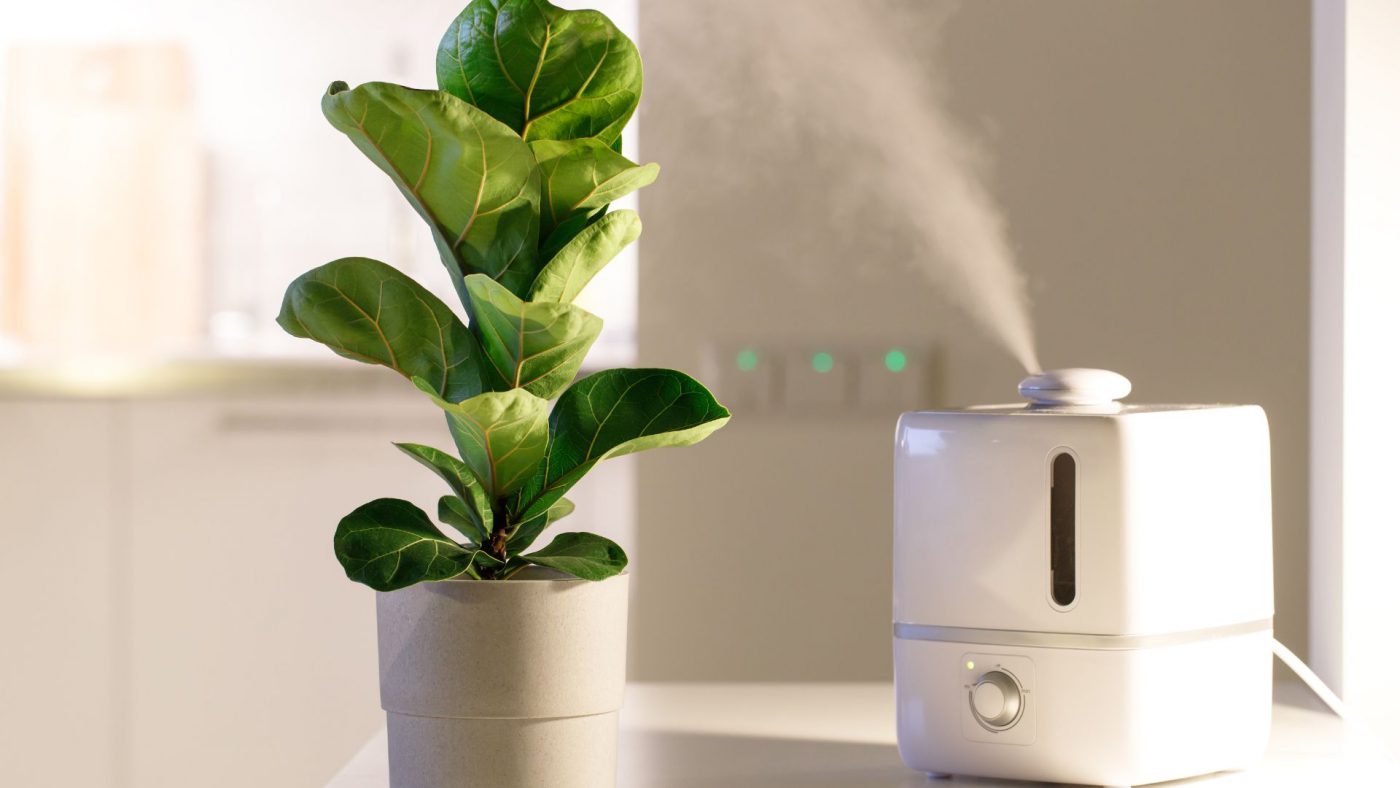 Take Up Global Air Humidifiers Market Opportunities with Clear Industry Data – Includes Air Humidifiers Market Share