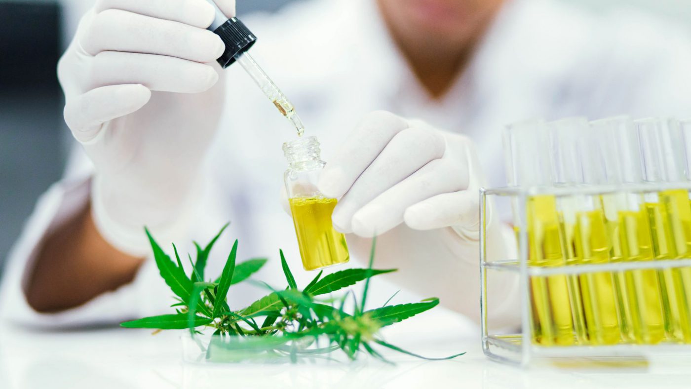 Best Prospects In The Global Cannabis Testing Market And Strategies For Growth – Includes Cannabis Testing Market Analysis