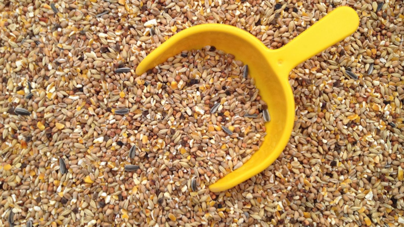 Global Feed Premix Market Overview And Prospects – Includes Feed Premix Market Forecast