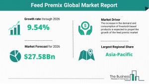 Feed Premix Market Size