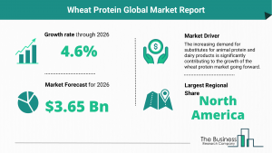 Global Wheat Protein Market Size