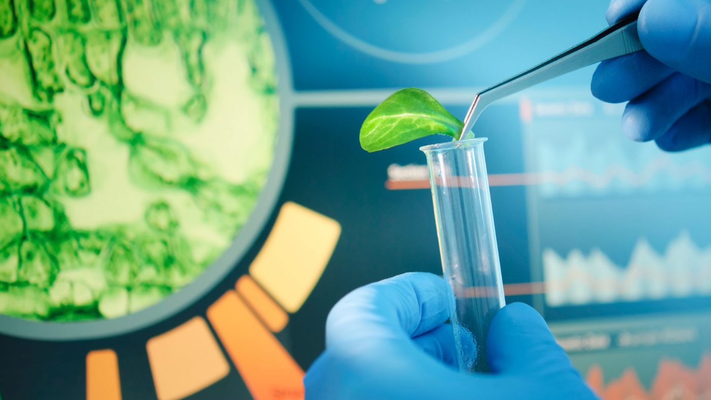 Global Biotechnology Services Market Overview And Prospects – Includes Biotechnology Services Market Size