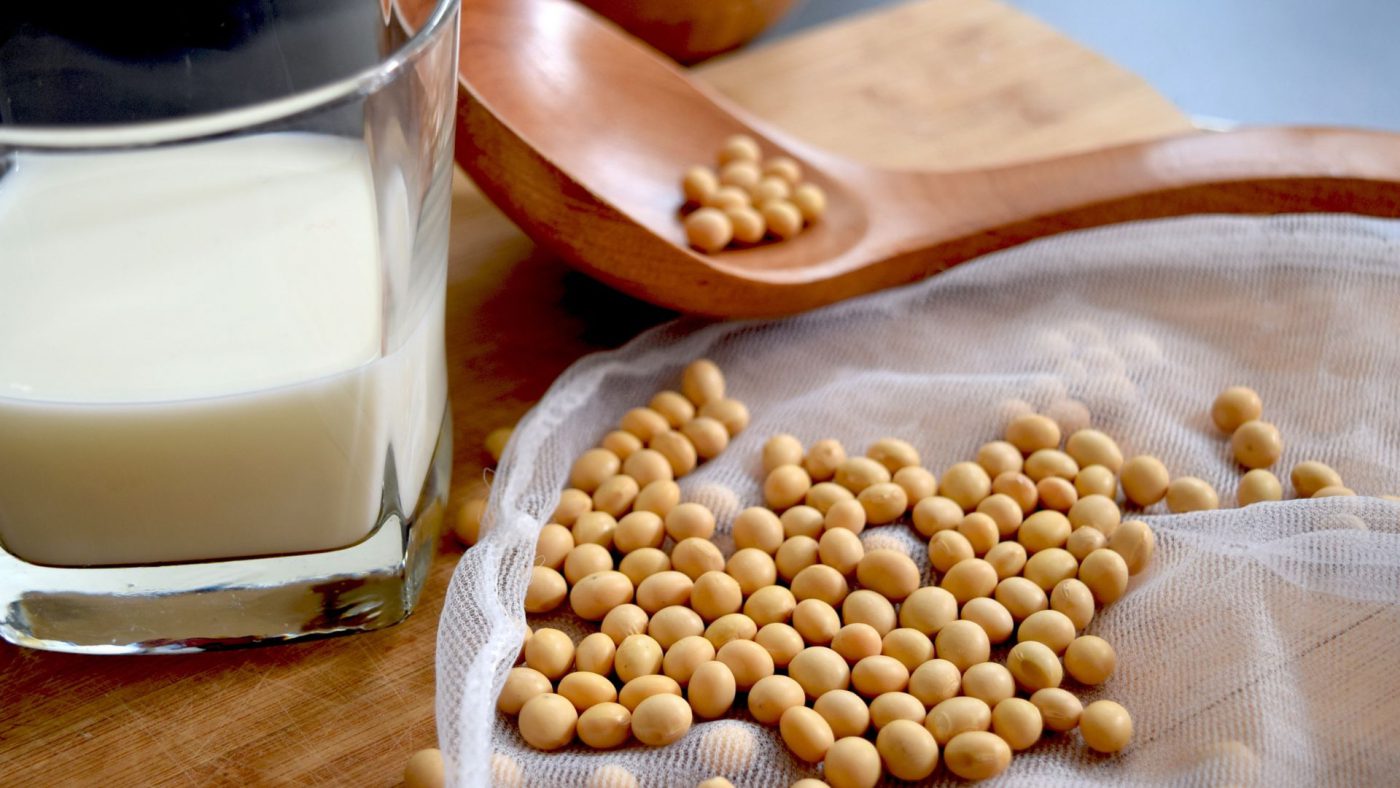 Soy Protein Global Market