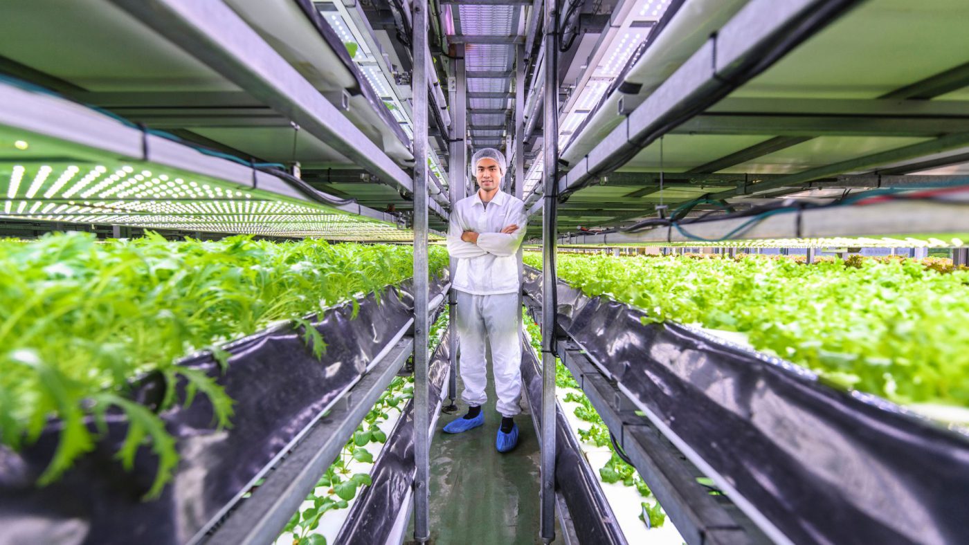 Best Prospects in the Global Vertical Farming Market and Strategies for Growth – Includes Vertical Farming Market Research
