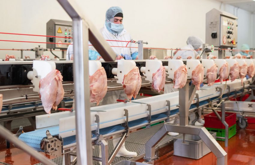 Global Poultry Processing Equipment Market,