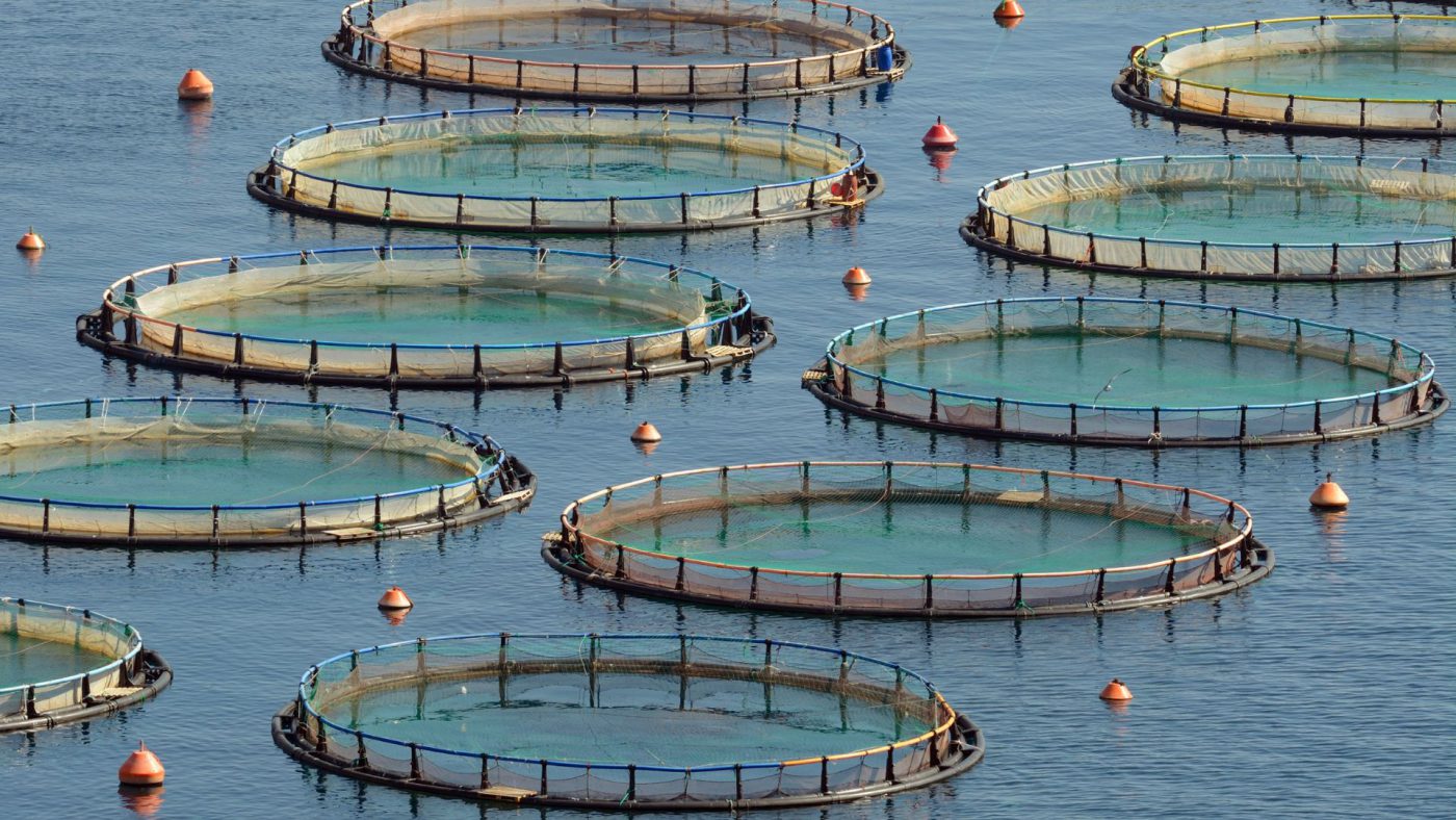 Global Aquaculture Market Size, Forecasts, And Opportunities – Includes Aquaculture Market Size