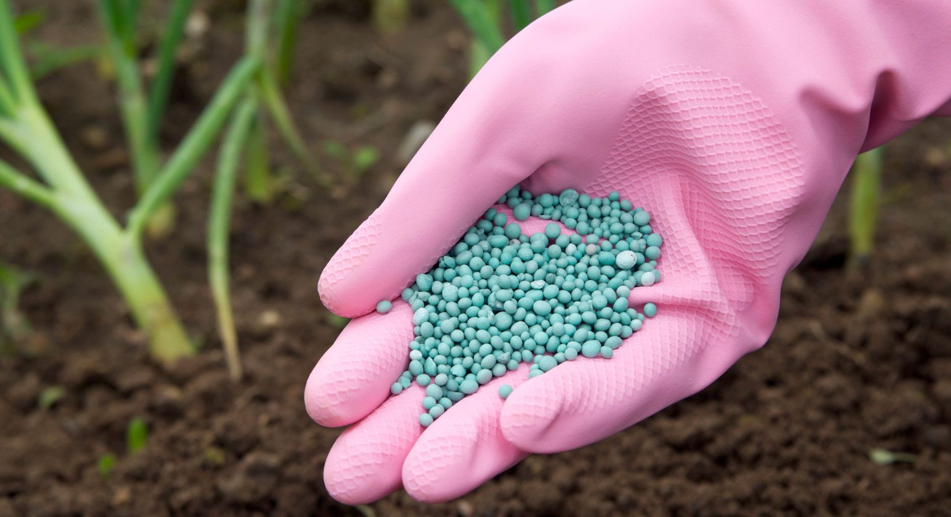 Catalyst Fertilizer Global Market Report