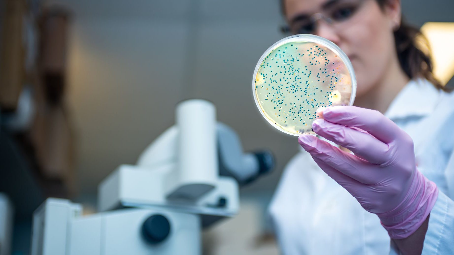 Take Up Global Microbiome Market Opportunities with Clear Industry Data – Includes Microbiome Market Size