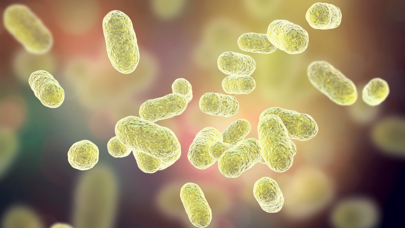 Global Microbiome Therapeutics Market Outlook, Opportunities And Strategies – Includes Microbiome Therapeutics Market Analysis