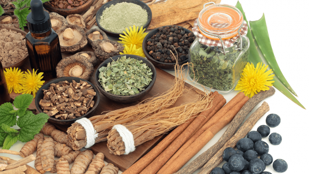 Global Adaptogens Market Overview And Prospects – Includes Adaptogens Market Outlook