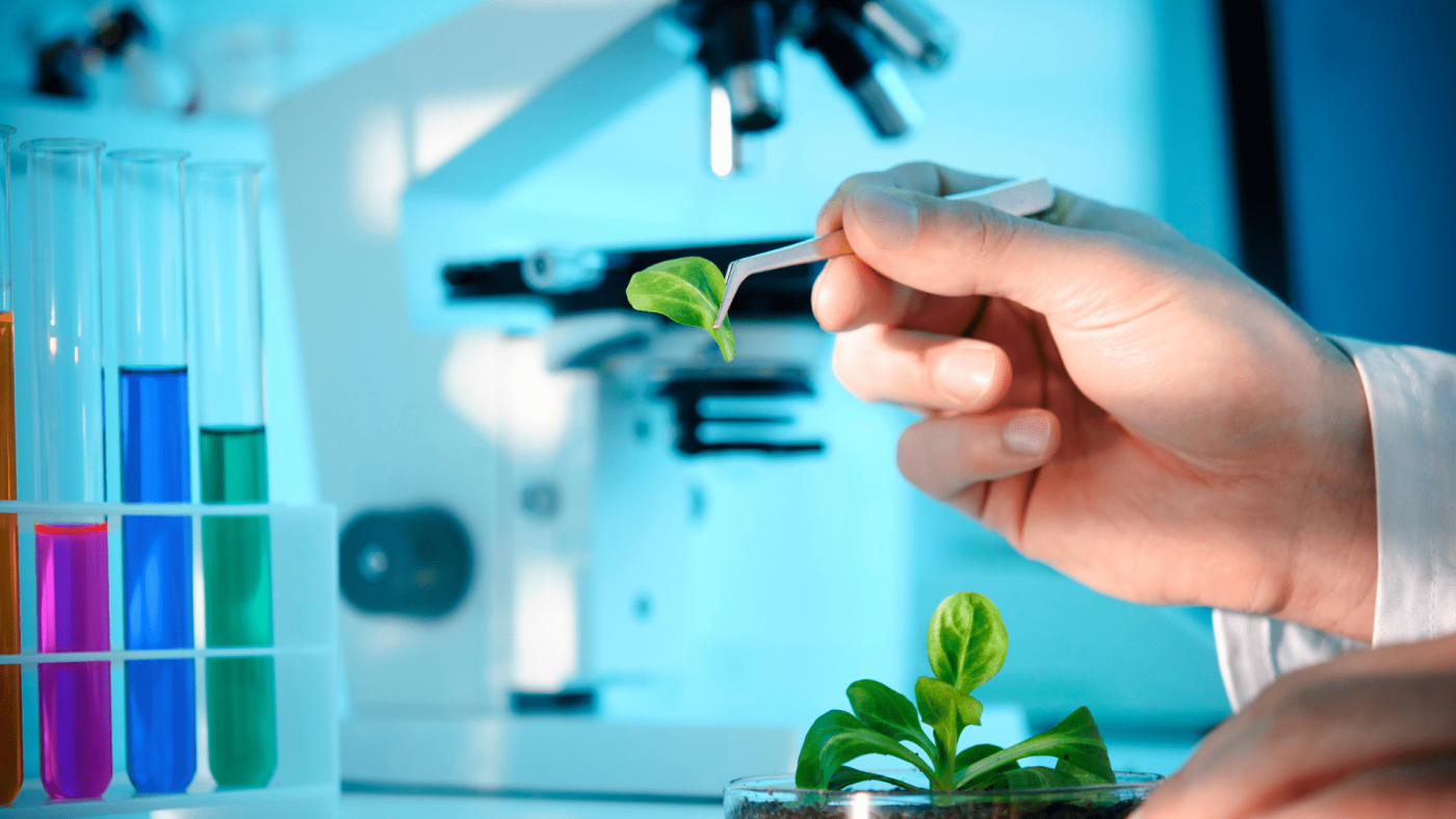 Forecasting till 2030: Opportunities And Strategies In The Global Biotechnology Services Market – Includes Biotechnology Services Market Size