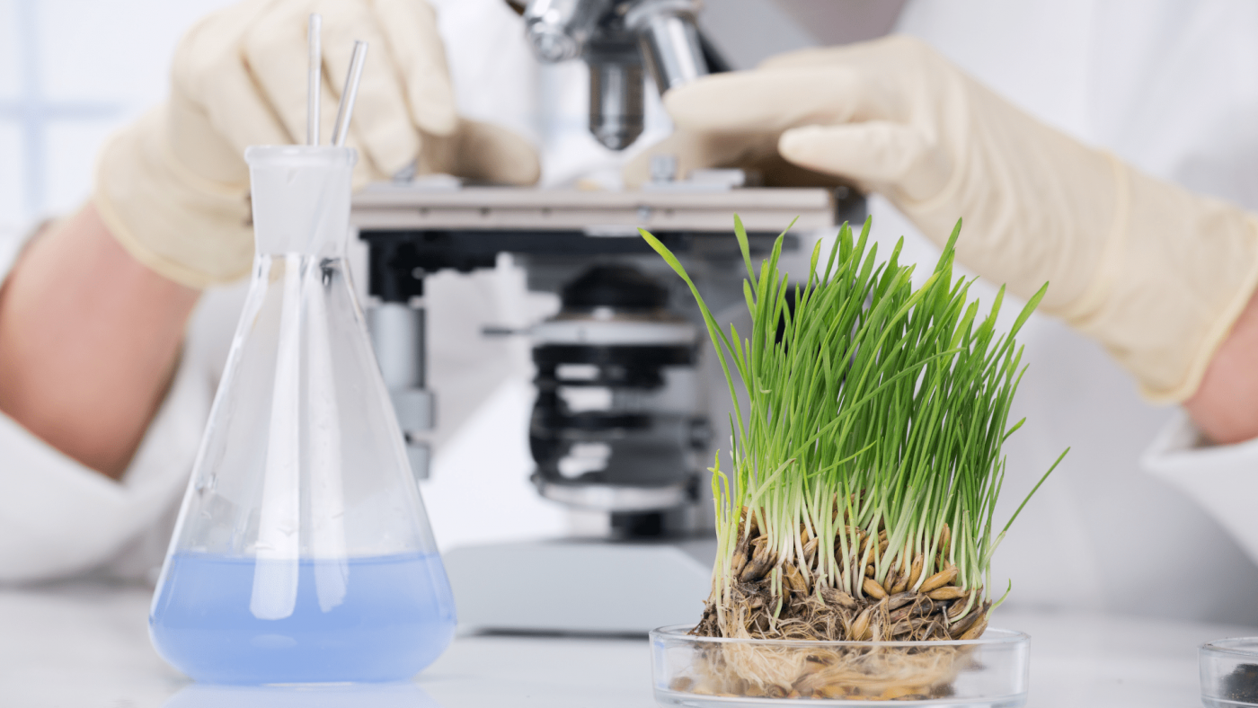 Global Biotechnology Services Market Opportunities And Strategies – Forecast To 2030 – Includes Biotechnology Services Market Analysis