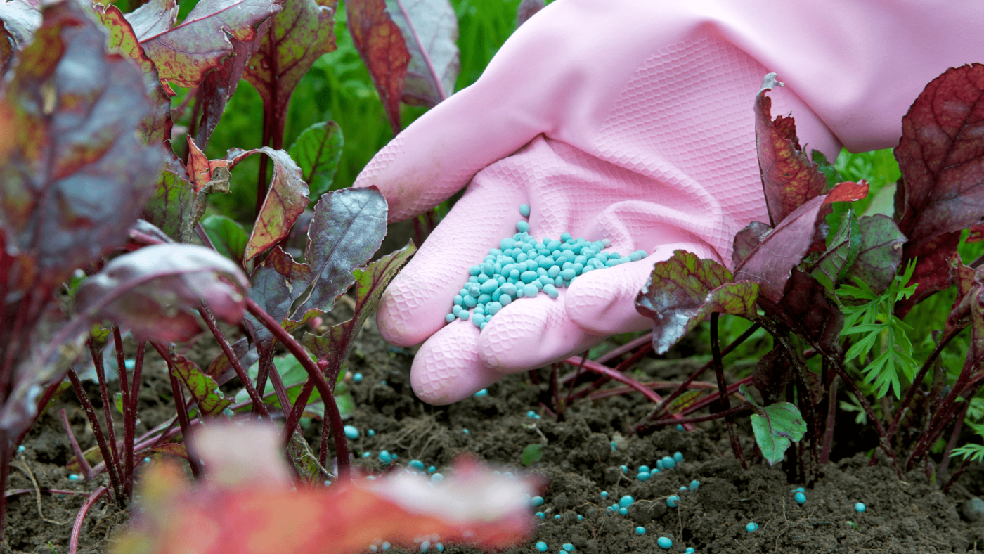 phosphate fertilizer market