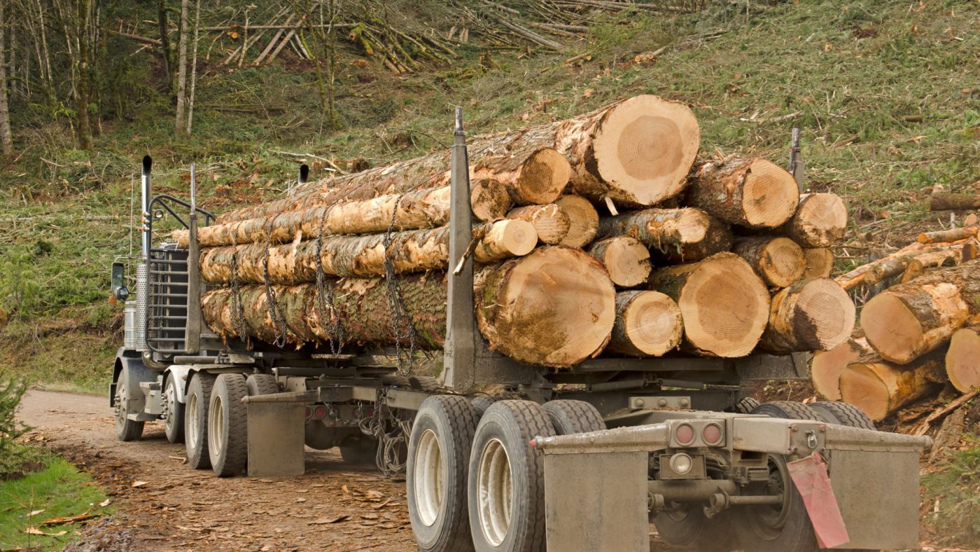 Global Forest Products Trucking Market Size, Drivers, Trends, Opportunities And Strategies – Includes Forest Products Trucking Market Growth