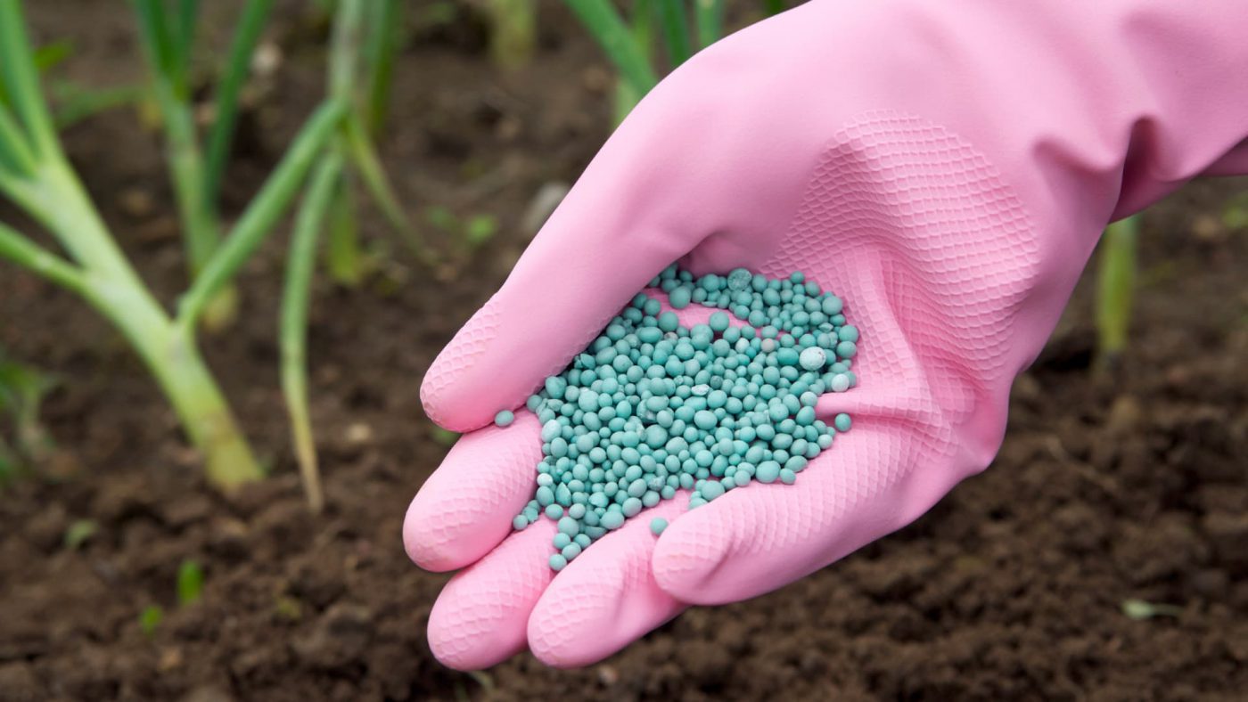 catalyst fertilizer market analysis