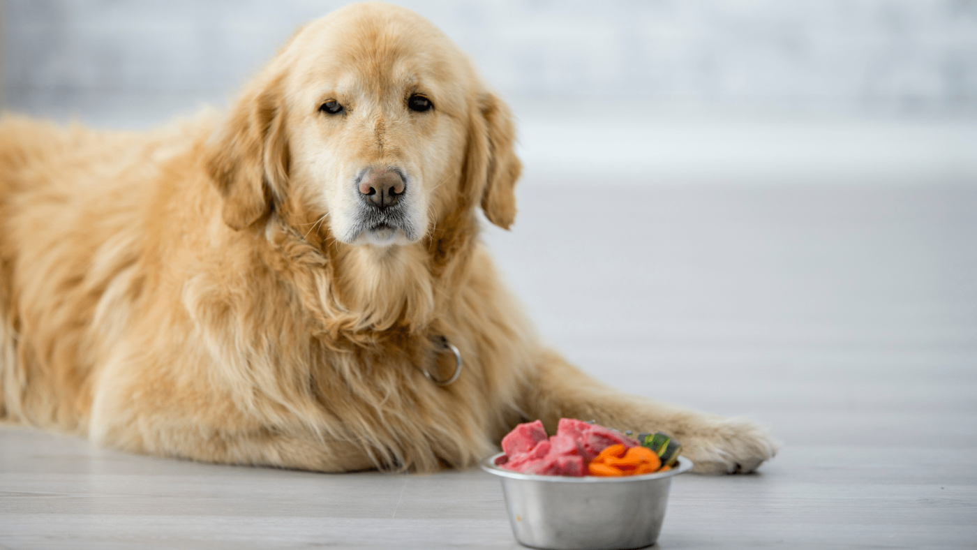Global Animal And Pet Food Market Size, Drivers, Trends, Opportunities And Strategies – Includes Animal And Pet Food Market Share
