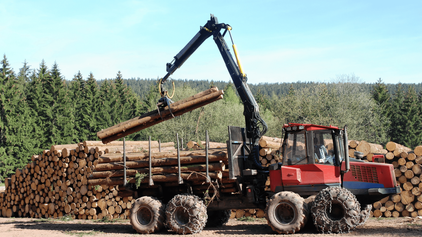 forestry and logging market