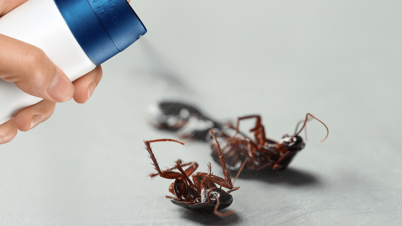 Insights Into The Household Insecticides Market’s Growth Opportunities Through 2023-2032 – Includes Household Insecticides Market Trends